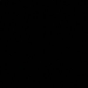 Meet your Posher, Reem